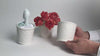 Incognito Ice Cream Pint Holder with Scoop