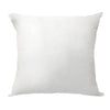 Emile Down Fill Decorative Throw Pillow Square Insert, White by LR Home
