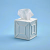 Faux Bamboo Fretwork Tissue Box Cover by Two's Company