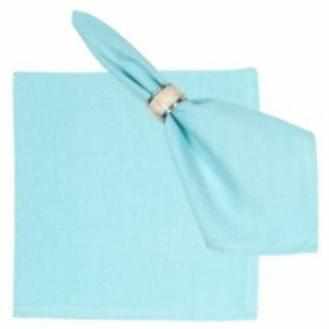 Robin's Egg Flatweave Napkins 22" x 22" 100% Cotton - Set of 4 by Primitive Artisan Inc.