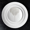 Set of (4) Catch White Salad Plates** by Caskata