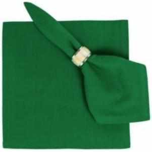 True Green Flatweave Napkins 22" x 22" 100% Cotton - Set of 4 by Primitive Artisan Inc.